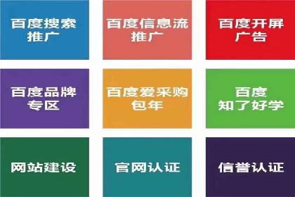 成功案例揭秘：百度竞价账户托管的运营之道